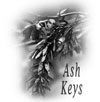 Ash Keys, Ashkeys.com, Haverfordwest, haverfordwest, Pembrokeshire, Wales, UK, aromatherapy products and treatments, Swedish massage, Reiki, reiki, raykey, raiki, aroma-therapy, aromatherapy massage, hand cream, bath oil, shower gel, body cream, body lotion, gardeners, tropical dawn, Suzanne Clark, spice island, essential oils, hand made, high quality, pembrokeshire, Haverfordwest, haverfordwest, mail order, well being, products, weekend and evening, treatments, Suzanne Clark, Susan Clark, Suz, Brooks, ashkeys, ash keys, weekend, weekends, evening, evenings, gift voucher, stress management, reduce stress, anxiety, pain, pregnancy massage, anti stress massage, pregnancy, massage, indian head, massage, relaxation, body massage, post natal massage, pre natal massage, Deep tissue massage, massage, Relax, Relaxation, swedish body massage, Therapies, Holistic, Therapies, pampering, relaxation, deep tissue, massage therapist Haverfordwest, pembrokeshire, massage, reduce stress, massage, anti stress, improve sleep, reduce anxiety, reduce tension,reduce pain, improve energy levels, keep calm and carry on, make-up, makeup, make up, bridal make up, photographic make up, make up artist, make-up artist MUA, mua, hand made jewellery, bespoke jewellery, cultured pearls, semi precious stones, silver, gold